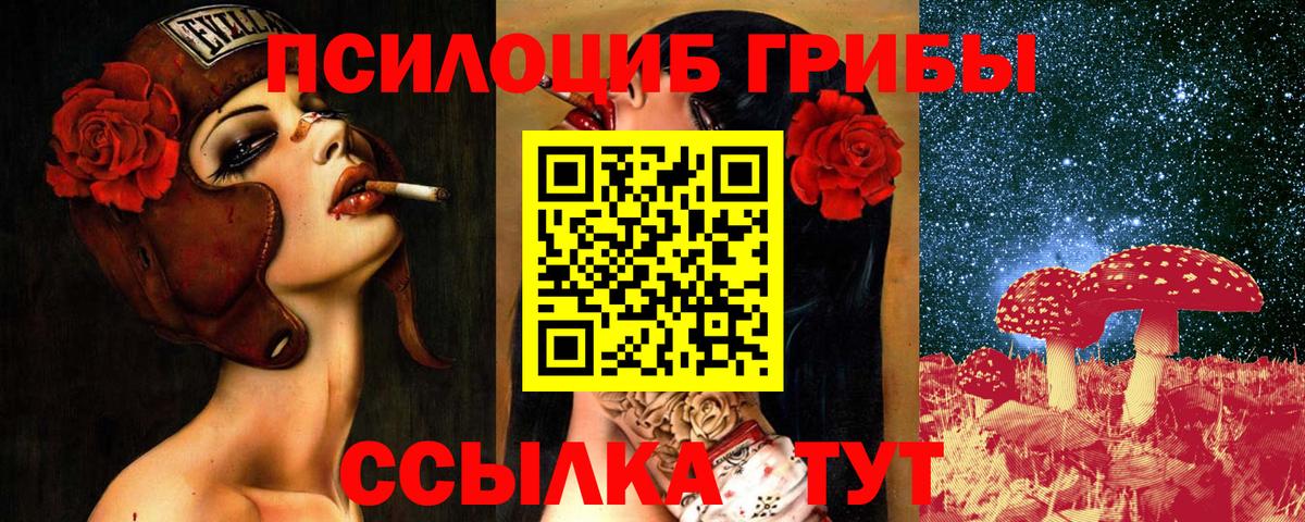 Галлюциногенные грибы MAGIC MUSHROOMS  Вход с VPN  Мурманск 