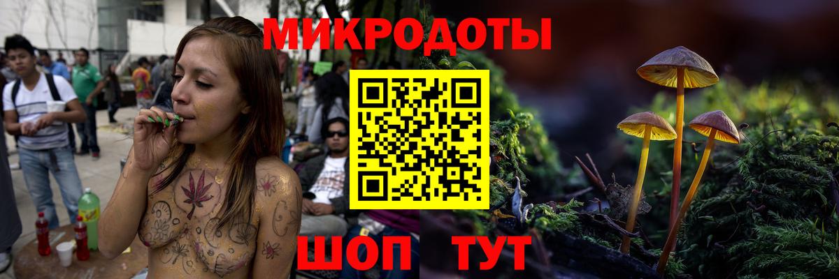 Псилоцибиновые грибы Psilocybe Мурманск
